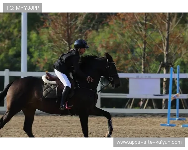 马术骑手与马匹默契成就冠军配对